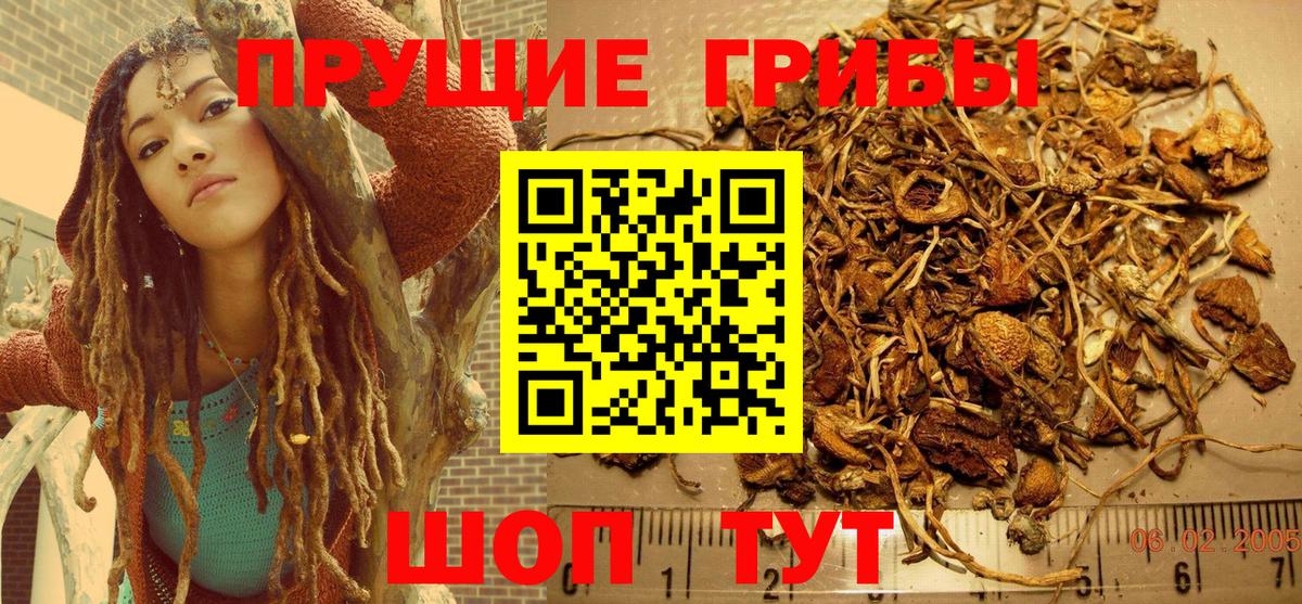 Королёв  Галлюциногенные грибы MAGIC MUSHROOMS  Галлюциногенные грибы MAGIC MUSHROOMS  Вход с VPN 