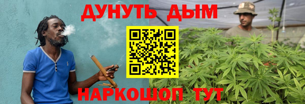 Королёв  МАРИХУАНА конопля  Вход с VPN  Бошки марихуана Bruce Banner  Бошки Шишки тримм 